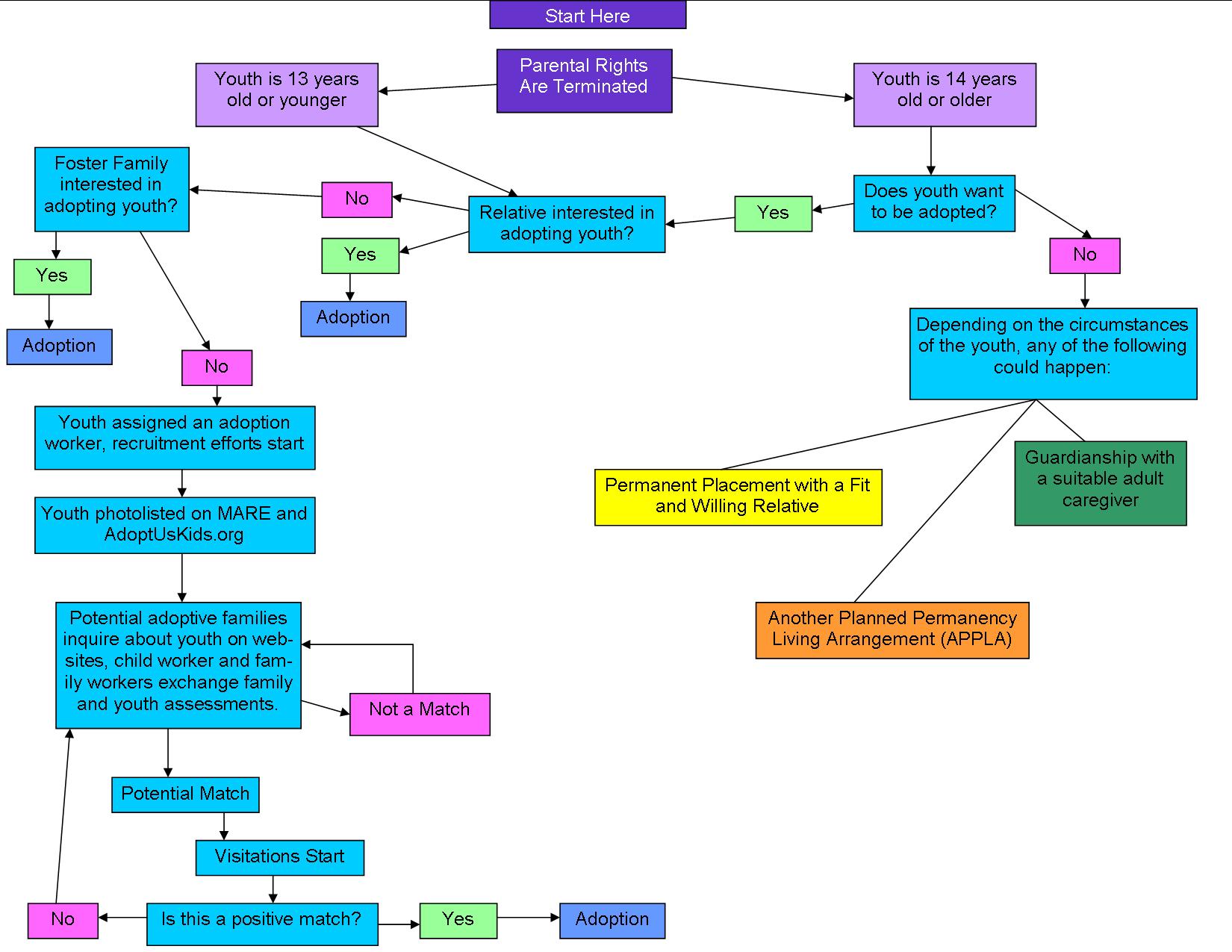 permanency-planning-options